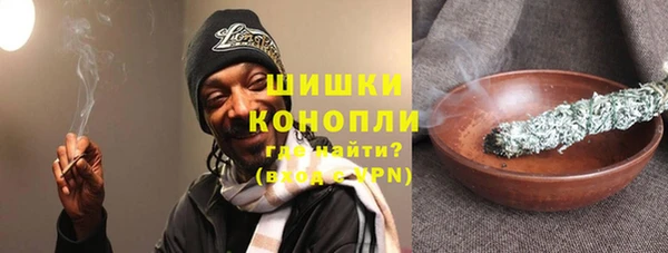 гидра Елизово