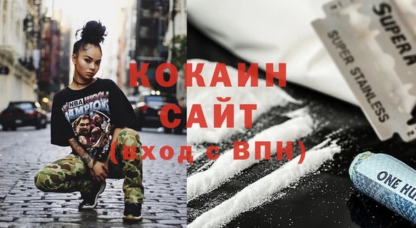 шишки Переславль-Залесский