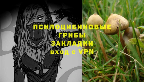 амфетамин Заводоуковск