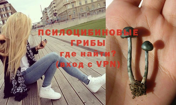 шишки Переславль-Залесский