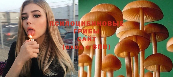 синтетический гашиш Ельня