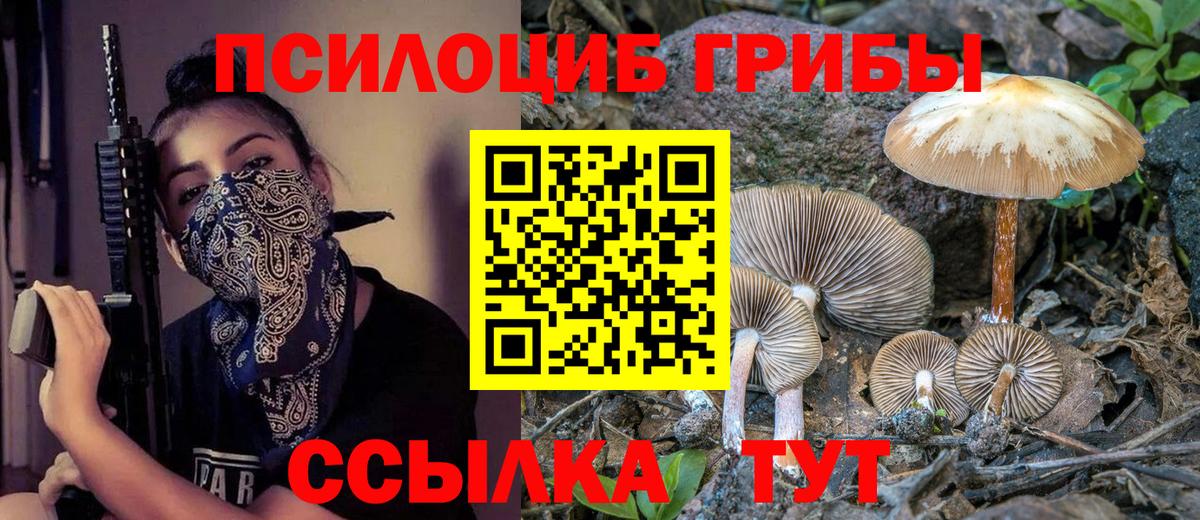 Саянск  купить закладку  Вход с VPN  Галлюциногенные грибы MAGIC MUSHROOMS 